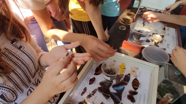 Sexto ano e suas transformações