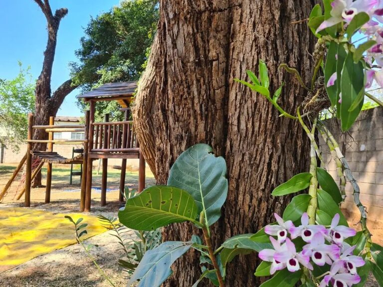 Tronco de árvore com flores e o parquinho de madeira ao fundo, no terreno da escola
