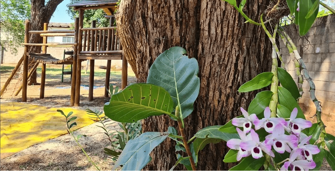 Setembro na escola Waldorf